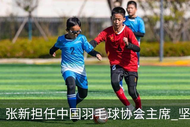 张新担任中国羽毛球协会主席 坚决把反腐败斗争进行到底